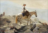 Plakaty - Galeria Plakatu, Plakat, The Bridle Path, White Mountains, Winslow Homer, 50x40 cm - miniaturka - grafika 1