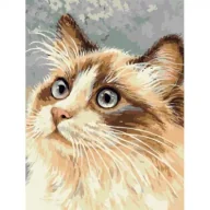 Malowanie po numerach - Titanum Malowanie po numerach - 30x40cm Kot - miniaturka - grafika 1