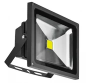 Lampy pozostałe - Naświetlacz LED 30W 4200K FLOOD LIGHT AZ1550 Azzardo - miniaturka - grafika 1