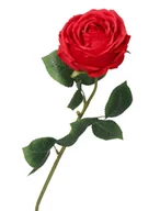 Sztuczne kwiaty - SZTUCZNE KWIATY ROŚLINY RÓŻA POJEDYNCZA XXL 62CM - miniaturka - grafika 1