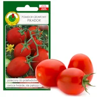 Nasiona i cebule - POMIDOR PIKADOR TWARDY NA KETCHUP NASIONA BEZ GMO - miniaturka - grafika 1