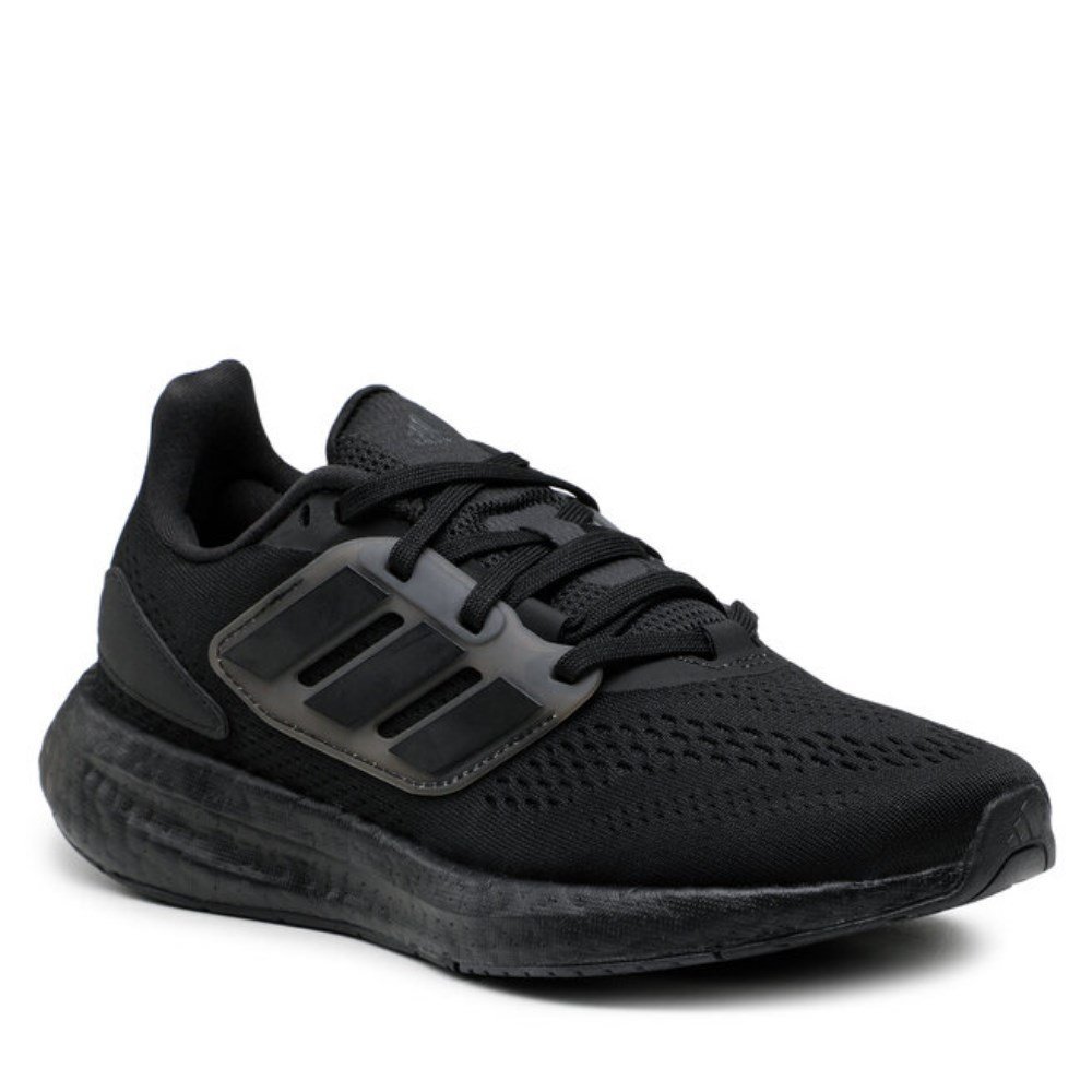 Pureboost 22
