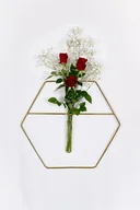 Kwietniki - Metalowy kwietnik wiszący Hex - miniaturka - grafika 1