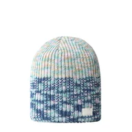 Czapki męskie - Czapka THE NORTH FACE SHINSKY BEANIE NF0A7RI192T1 – Zielony - miniaturka - grafika 1