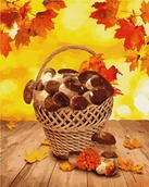 Malowanie po numerach - Malowanie po numerach - Leśne dary 40x50cm - Ideyka - miniaturka - grafika 1