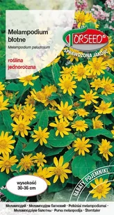Nasiona Melampodium błotne żółte 0,3g - Torseed - Nasiona i cebule - miniaturka - grafika 1