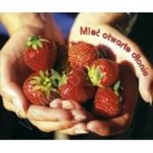 Aforyzmy i sentencje - Edycja Świętego Pawła praca zbiorowa Perełka 115. Mieć otwarte dłonie - miniaturka - grafika 1