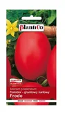 Nasiona i cebule - Pomidor gruntowy Frodo 10 g Plantico - miniaturka - grafika 1