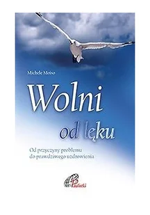 Wolni od lęku Nowa - Religia i religioznawstwo - miniaturka - grafika 2