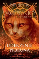 E-booki dla dzieci i młodzieży - Uderzenie Pioruna - miniaturka - grafika 1
