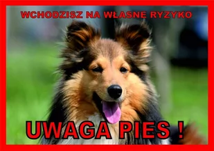 Rokus Rokus Tabliczka "Uwaga pies" collie - Pozostałe akcesoria dla psów - miniaturka - grafika 1