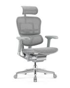 Fotele i krzesła biurowe - Fotel biurowy Ergohuman 2 Elite GS Grey - szary ergonomiczny fotel siatkowy - miniaturka - grafika 1