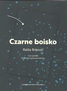 Czarne boisko Balsa Brkovic - Poezja - miniaturka - grafika 1