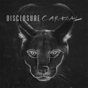 Caracal Disclosure - Muzyka klubowa, dance - miniaturka - grafika 1
