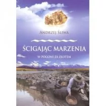 Ścigając marzenia W pogoni za złotem - Śliwa Andrzej