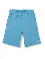 Spodenki damskie - FILA Szorty chłopięce Slough, cendre blue, 158-164 - miniaturka - grafika 1