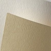 Herlitz KARTON OZDOBNY KORA A4 BIAŁY 230 G/M2