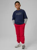 Spodnie i spodenki dla chłopców - 4F Spodnie dresowe joggery chłopięce - czerwone 164 (13-14 lat) - miniaturka - grafika 1