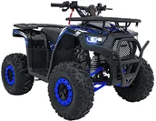Samochody i pojazdy dla dzieci - Pojazd Quad Spalinowy 120CC DISCOVERER Niebieski - miniaturka - grafika 1