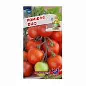 Nasiona i cebule - Pomidor Duo 0,5g / O / - miniaturka - grafika 1