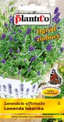Nasiona i cebule - Plantico Lawenda lekarska - miniaturka - grafika 1