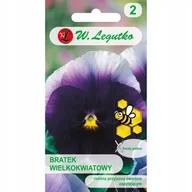 Nasiona i cebule - Nasiona Bratek Lord Beaconsfield fioletowy z białym 0.50g - W.Legutko - miniaturka - grafika 1