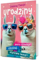 Kartki okolicznościowe i zaproszenia - Karnet B6 Urodziny - artykuł papierniczy - miniaturka - grafika 1