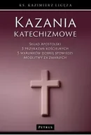Religia i religioznawstwo - Kazania katechizmowe 6 - miniaturka - grafika 1