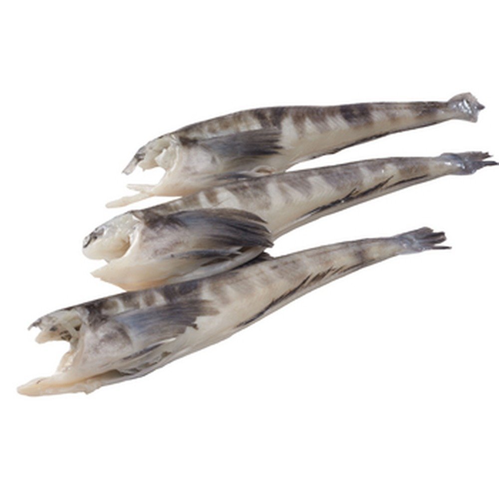 Tusza z Kergueleny świeża 80-250 g