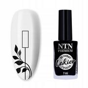 Ntn Premium Lakier do stempli i blaszek NTN Premium czarny 7 ml Nr 99