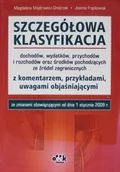 Biznes - Szczegółowa klasyfikacja 2009 - miniaturka - grafika 1