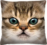 Kołdry i poduszki dla dzieci - Bertoni-arco Poduszka - Gapcio - 40x40 cm - miniaturka - grafika 1