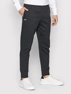 Spodnie sportowe męskie - Lacoste Spodnie dresowe XH9507 Szary Regular Fit - miniaturka - grafika 1