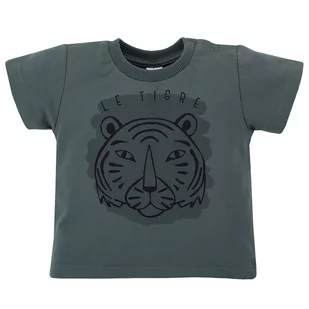 Koszulka t-shirt dla chłopca Le Tigre Pinokio - 86 - Moda i Uroda OUTLET - miniaturka - grafika 1