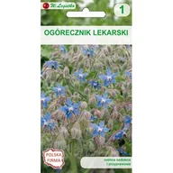 Nasiona i cebule - Ogórecznik lekarski W.Legutko - miniaturka - grafika 1