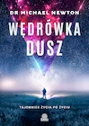 Ezoteryka - Wędrówka dusz. Tajemnice życia po życiu - miniaturka - grafika 1