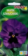 Nasiona i cebule - Bratek Szwajcarski fioletowy z plamą 0.5 g POLAN - miniaturka - grafika 1