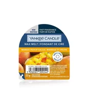 Zapachy do domu - Yankee Candle Yankee Candle Wax Melt Zapachowy Wosk Mango Peach Salsa - miniaturka - grafika 1