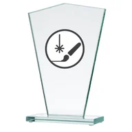 Gadżety dla kibiców - Trofeum szklane grawerowane + wypełnienie farbą - miniaturka - grafika 1