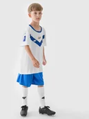 Koszulki dla chłopców - 4F Koszulka klubowa wyjazdowa z sezonu 2024/25 chłopięca 4F x Stal Mielec - multikolor 158/164 (12-14 lat) - miniaturka - grafika 1