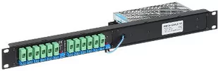 Delta Zasilacz Rack ZR12-150/LZ-12 ZR12-150/LZ-12 - Akcesoria do szaf serwerowych - miniaturka - grafika 1