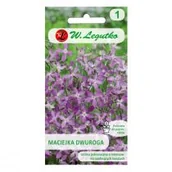 Nasiona i cebule - Legutko sp. z o.o Nasiona Maciejka dwuroga różowolawendowa, 5g - miniaturka - grafika 1
