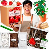 Nasiona i cebule - Papryka chili Habanero Red Zestaw do uprawy XXL Nasiona Czerwona Ostra - miniaturka - grafika 1