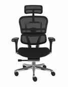 Fotele i krzesła biurowe - Fotel Ergohuman 2 Elite BT Black - miniaturka - grafika 1