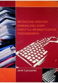 Biznes - Metodyczne podstawy ekonomiczne ocenyinwestycji informatycznych przedsiębiorstw - miniaturka - grafika 1