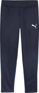 Spodnie męskie Puma Team Goal Training granatowe 658639 06 S - Spodnie sportowe męskie - miniaturka - grafika 1