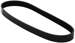 DAYCO Pasek klinowy wielorowkowy 6PK725 - Rolki i napinacze - miniaturka - grafika 1