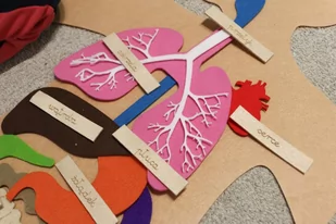 Części ciała z filcu - Łamigłówki - miniaturka - grafika 1