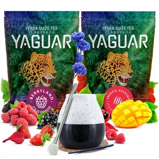Zestaw yerba mate Yaguar tykwa ceramiczna bombilla - Yerba Mate - miniaturka - grafika 1
