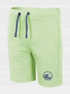4F Wygodne krótkie spodenki dresowe dla chłopców Miętowe Rozmiar 146CM - Spodenki damskie 4F Wygodne krótkie spodenki dresowe dla chłopców Miętowe Rozmiar 146CM - Spodenki damskie - miniaturka - grafika 1